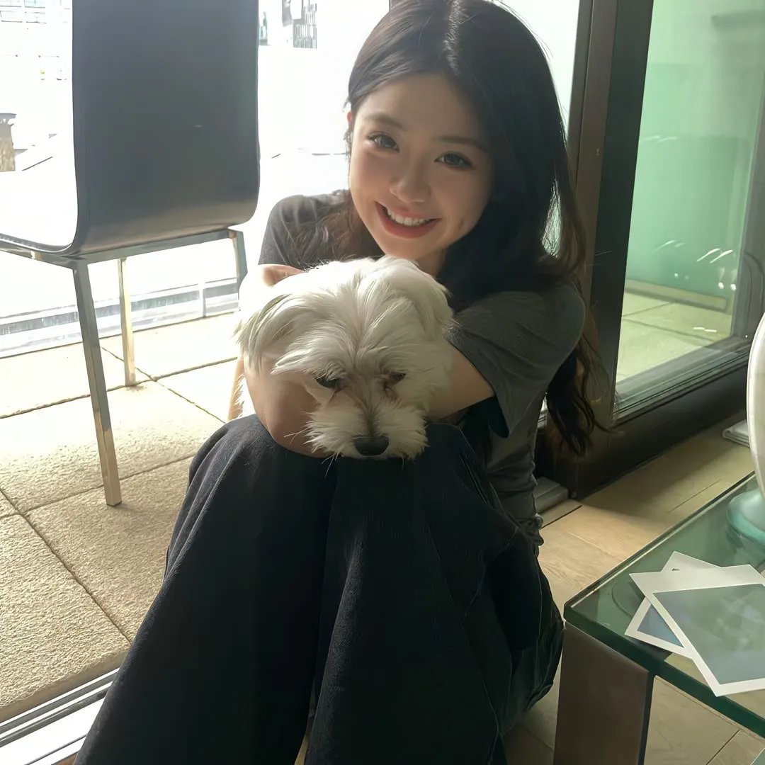 人海孤鸿